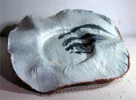 Andreas Jaeggi / Click for Enlarged View