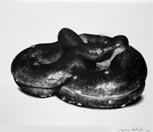 Andreas Jaeggi / Click for Enlarged View