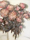 Andreas Jaeggi / Click for Enlarged View