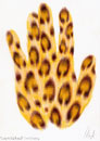 Andreas Jaeggi / Click for Enlarged View